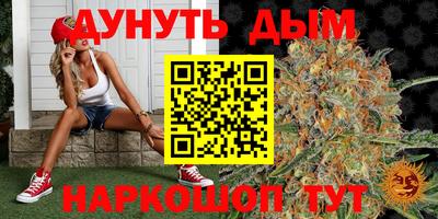 гидропоника Славгород