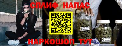 гидропоника Славгород