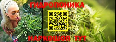 гидропоника Славгород