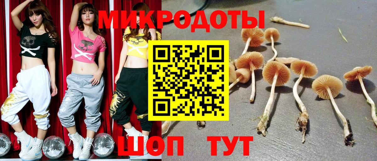Псилоцибиновые грибы мухоморы  Вход с VPN  Новотроицк 